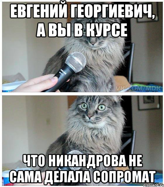 Евгений Георгиевич, а вы в курсе что Никандрова не сама делала сопромат, Комикс  кот с микрофоном