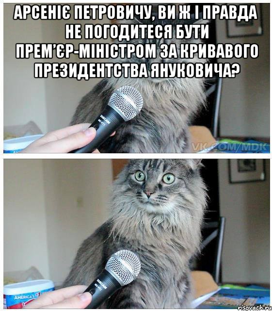 Арсеніє Петровичу, ви ж і правда не погодитеся бути прем’єр-міністром за кривавого президентства Януковича? , Комикс  кот с микрофоном