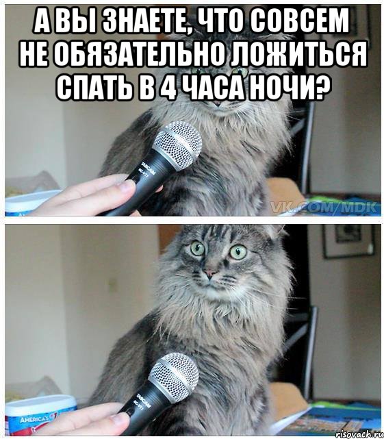 А вы знаете, что совсем не обязательно ложиться спать в 4 часа ночи? , Комикс  кот с микрофоном