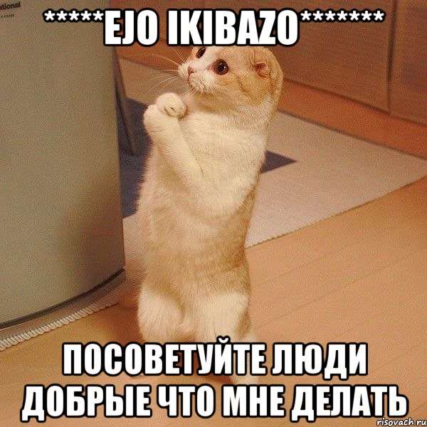 *****Ejo ikibazo******* Посоветуйте люди добрые что мне делать, Мем  котэ молится