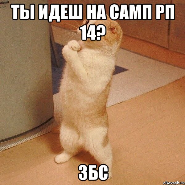 ТЫ ИДЕШ НА САМП РП 14? ЗБС, Мем  котэ молится