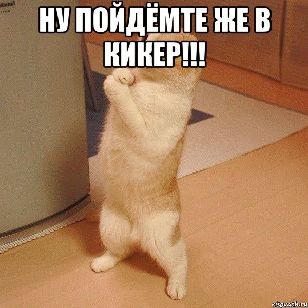 Ну пойдёмте же в кикер!!! , Мем  котэ молится