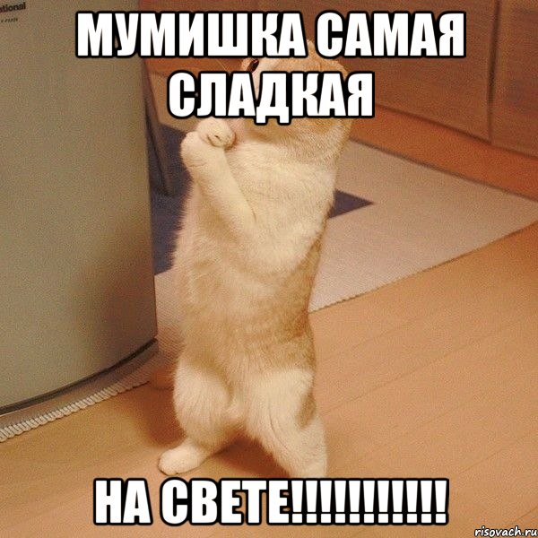 Мумишка самая сладкая На свете!!!!!!!!!!!, Мем  котэ молится