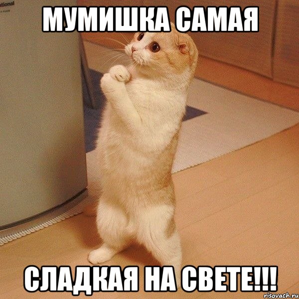 Мумишка самая Сладкая на свете!!!, Мем  котэ молится