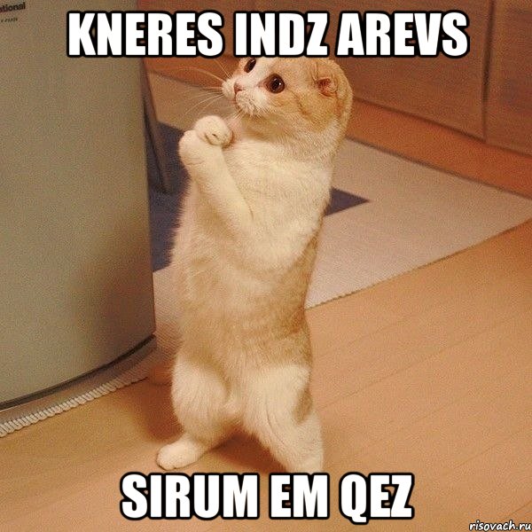 kneres indz Arevs sirum em qez