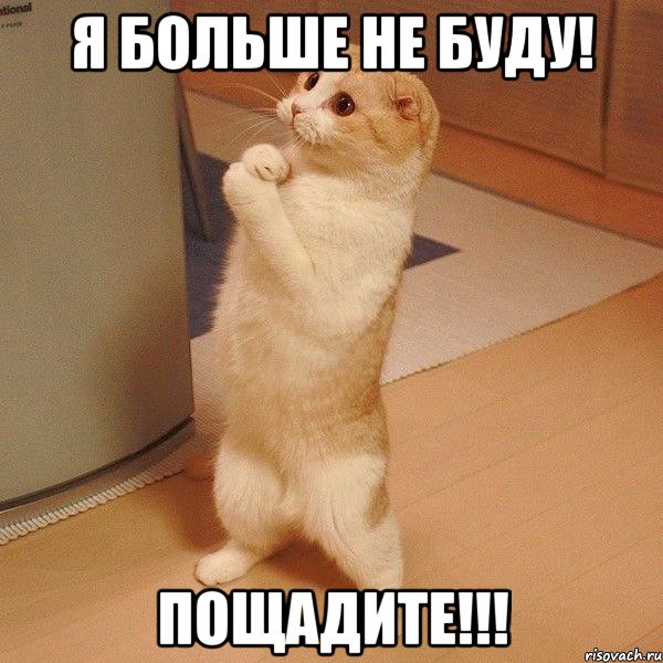 я больше не буду! Пощадите!!!, Мем  котэ молится