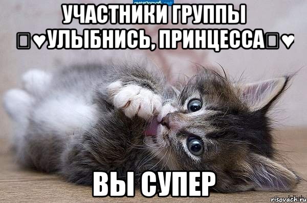 участники группы ツ♥Улыбнись, принцессаツ♥ вы супер