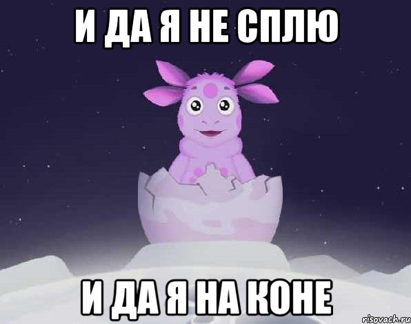 и да я не сплю и да я на коне