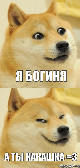 Я боГИнЯ А ТЫ КАКАШКА =3