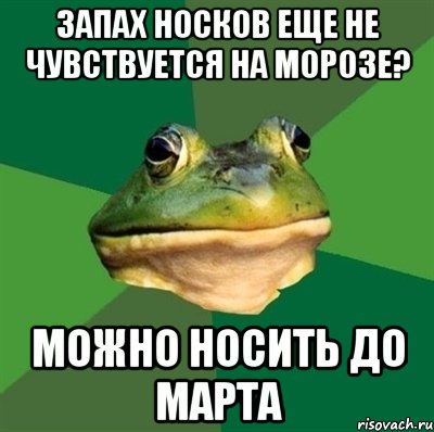 запах носков еще не чувствуется на морозе? можно носить до марта, Мем  Мерзкая жаба