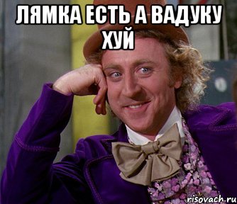 Лямка есть а Вадуку хуй , Мем мое лицо