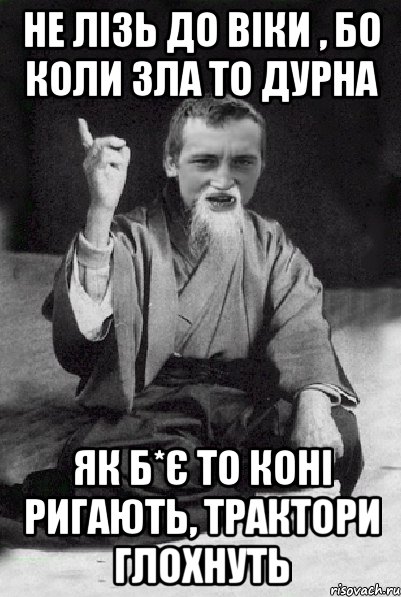 не лізь до Віки , бо коли зла то дурна як б*є то коні ригають, трактори глохнуть, Мем Мудрий паца