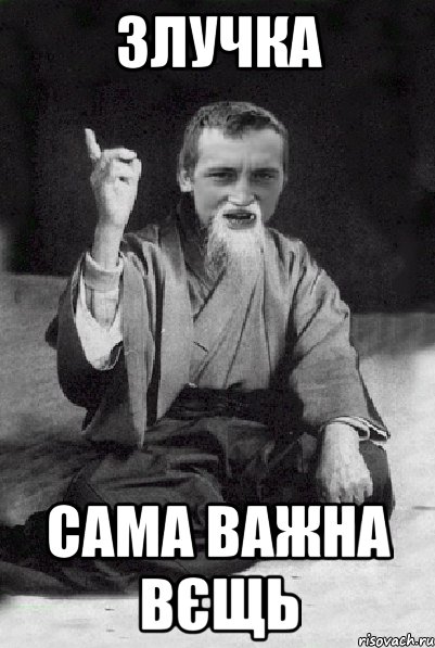 Злучка сама важна вєщь, Мем Мудрий паца