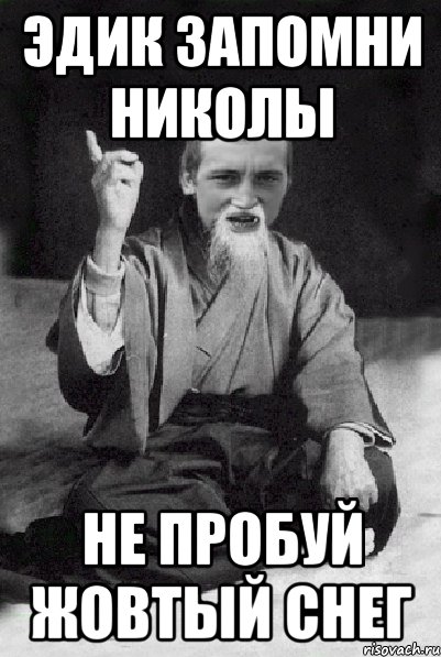 Эдик запомни николы Не пробуй жовтый снег, Мем Мудрий паца