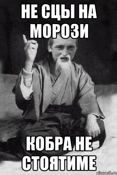 не сцы на морози кобра не стоятиме, Мем Мудрий паца