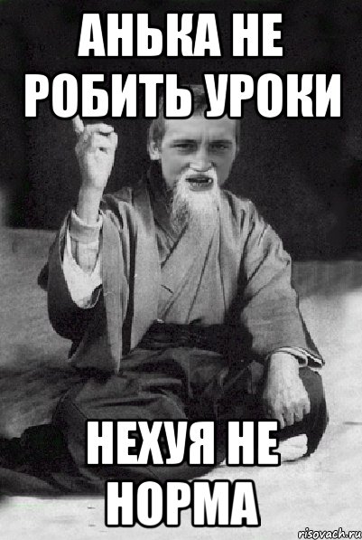 Анька не робить уроки нехуя не норма, Мем Мудрий паца