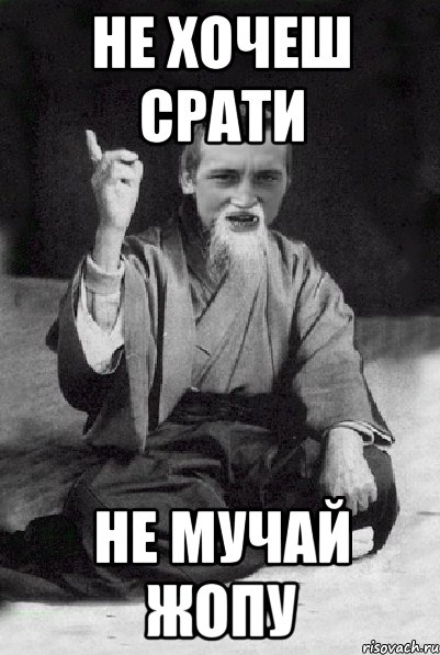 НЕ ХОЧЕШ СРАТИ НЕ МУЧАЙ ЖОПУ, Мем Мудрий паца