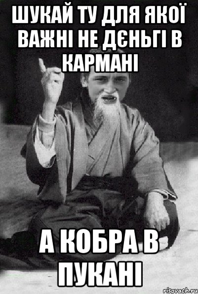 ШУКАЙ ТУ ДЛЯ ЯКОЇ ВАЖНІ НЕ ДЄНЬГІ В КАРМАНІ А КОБРА В ПУКАНІ, Мем Мудрий паца