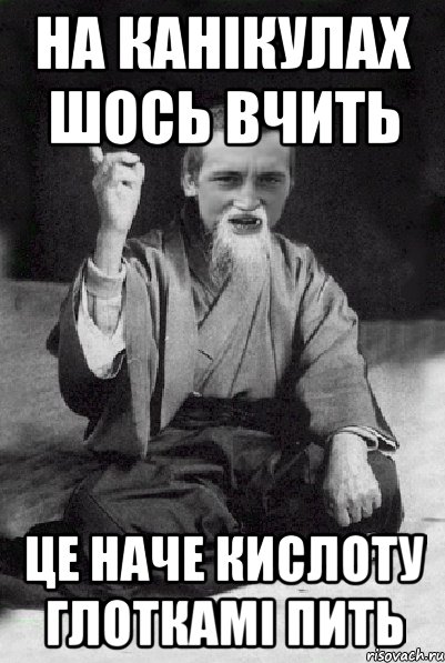 на канікулах шось вчить це наче кислоту глоткамі пить, Мем Мудрий паца