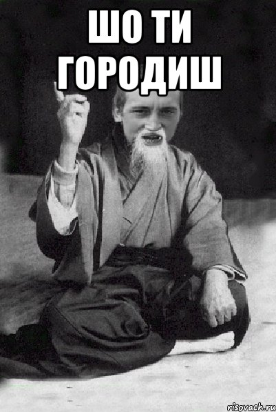 ШО ТИ ГОРОДИШ , Мем Мудрий паца