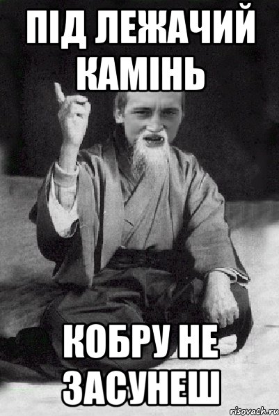 ПІД ЛЕЖАЧИЙ КАМІНЬ КОБРУ НЕ ЗАСУНЕШ, Мем Мудрий паца