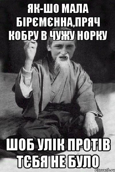 як-шо мала бірємєнна,пряч кобру в чужу норку шоб улік протів тєбя не було, Мем Мудрий паца