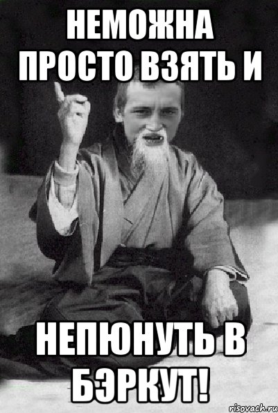 Неможна просто взять и непюнуть в бэркут!, Мем Мудрий паца