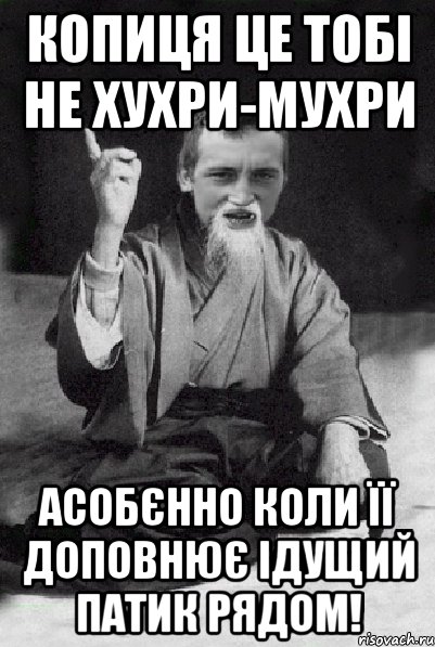 копиця це тобі не хухри-мухри АСОБЄННО КОЛИ ЇЇ ДОПОВНЮЄ ІДУЩИЙ ПАТИК РЯДОМ!, Мем Мудрий паца