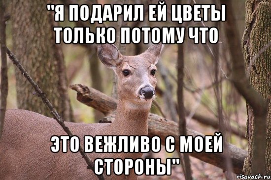 "Я подарил ей цветы только потому что это вежливо с моей стороны", Мем Наивная олениха