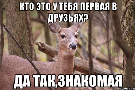 Кто это у тебя первая в друзьях? да так,знакомая