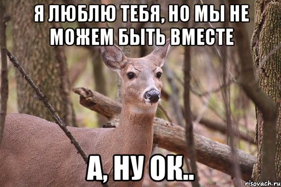 Я люблю тебя, но мы не можем быть вместе А, ну ок..