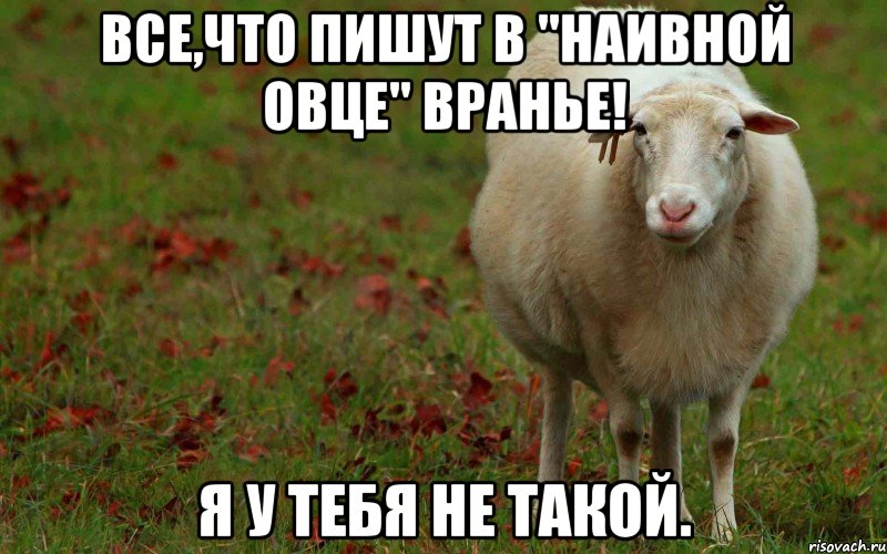 все,что пишут в "наивной овце" вранье! я у тебя не такой., Мем  наивная овца