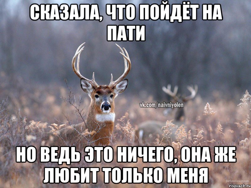 Сказала, что пойдёт на пати Но ведь это ничего, она же любит только меня, Мем   Наивный олень