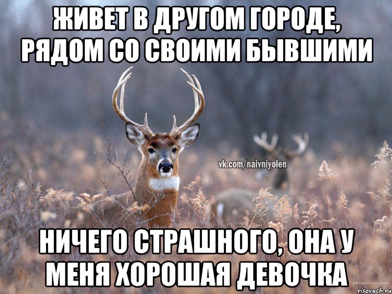 Живет в другом городе, рядом со своими бывшими Ничего страшного, она у меня хорошая девочка