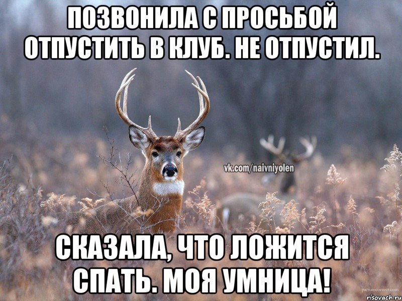 Позвонила с просьбой отпустить в клуб. Не отпустил. Сказала, что ложится спать. Моя умница!