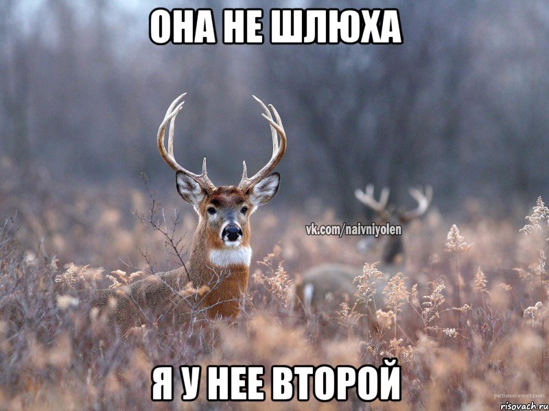 она не шлюха Я у нее второй