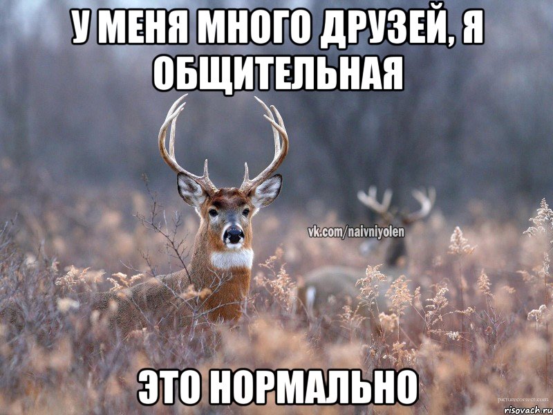 У меня много друзей, я общительная Это нормально, Мем   Наивный олень