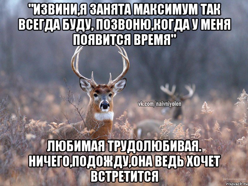 "извини,я занята максимум так всегда буду, позвоню,когда у меня появится время" любимая трудолюбивая. ничего,подожду,она ведь хочет встретится, Мем   Наивный олень