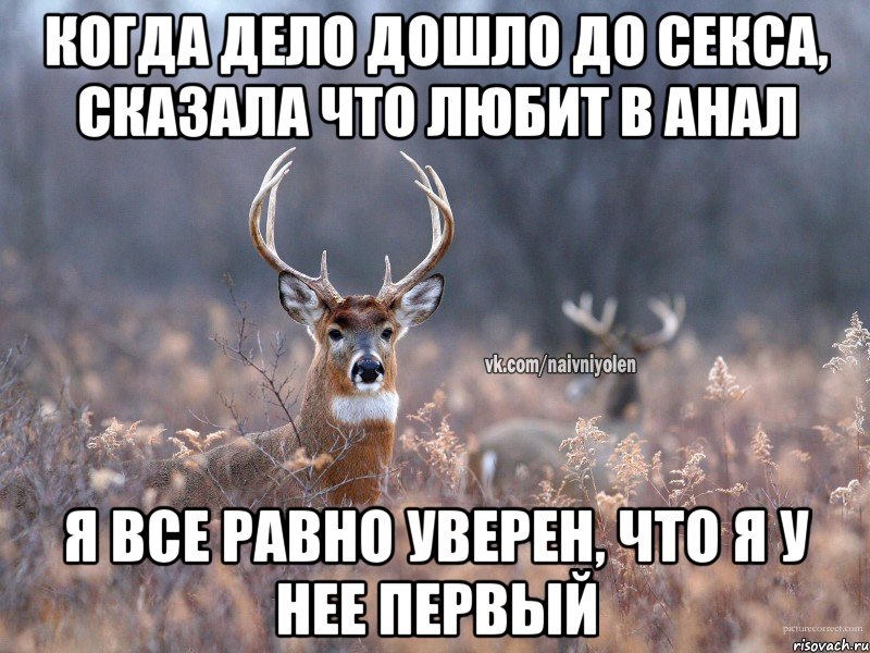 Когда дело дошло до секса, сказала что любит в анал я все равно уверен, что я у нее первый, Мем   Наивный олень