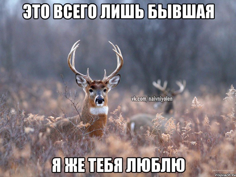 это всего лишь бывшая я же тебя люблю