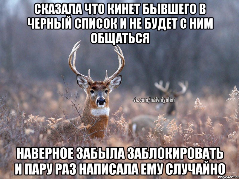 Сказала что кинет бывшего в черный список и не будет с ним общаться Наверное забыла заблокировать и пару раз написала ему случайно, Мем   Наивный олень