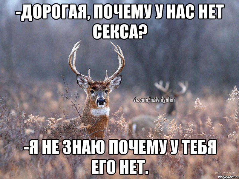 -Дорогая, почему у нас нет секса? -Я не знаю почему у тебя его нет.