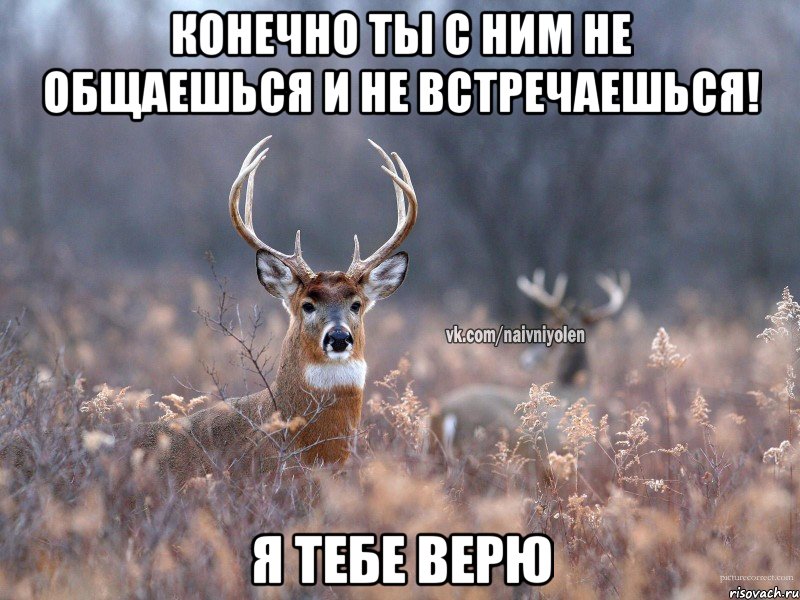 Конечно ты с ним не общаешься и не встречаешься! Я тебе верю, Мем   Наивный олень