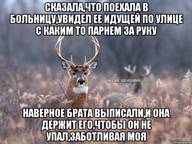 Сказала,что поехала в больницу,увидел ее идущей по улице с каким то парнем за руку Наверное брата выписали,и она держит его,чтобы он не упал,заботливая моя, Мем   Наивный олень