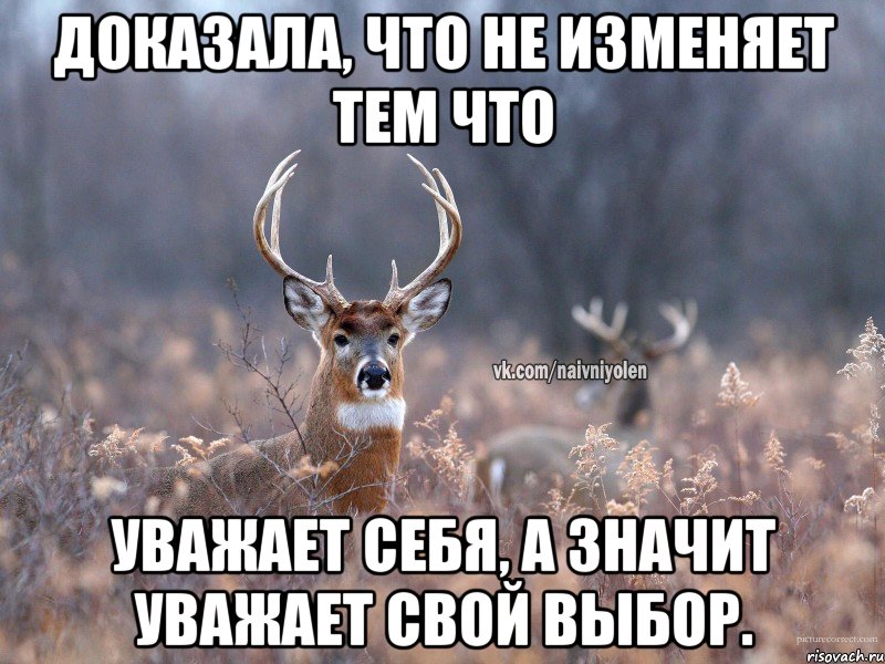 Доказала, что не изменяет тем что уважает себя, а значит уважает свой выбор., Мем   Наивный олень