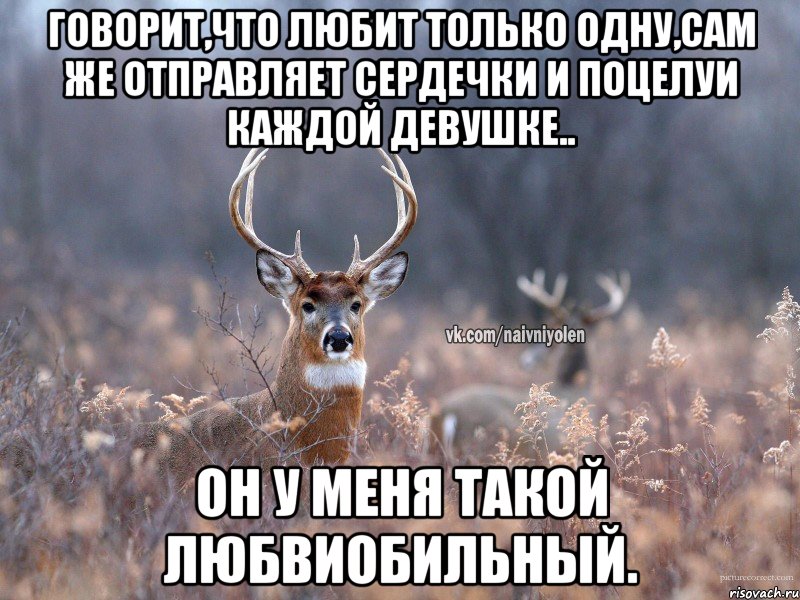 Говорит,что любит только одну,сам же отправляет сердечки и поцелуи каждой девушке.. Он у меня такой любвиобильный., Мем   Наивный олень