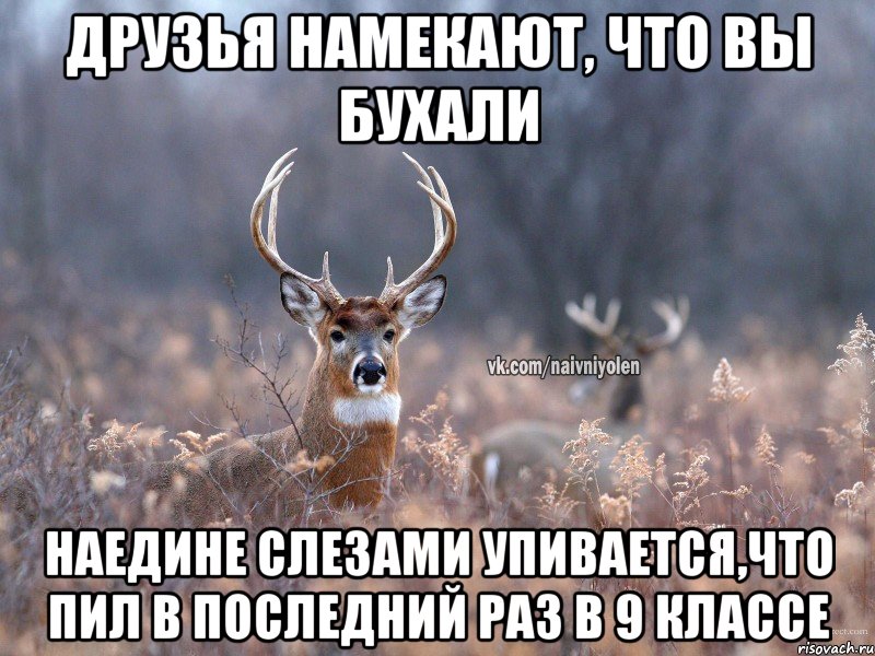 Друзья намекают, что вы бухали Наедине слезами упивается,что пил в последний раз в 9 классе