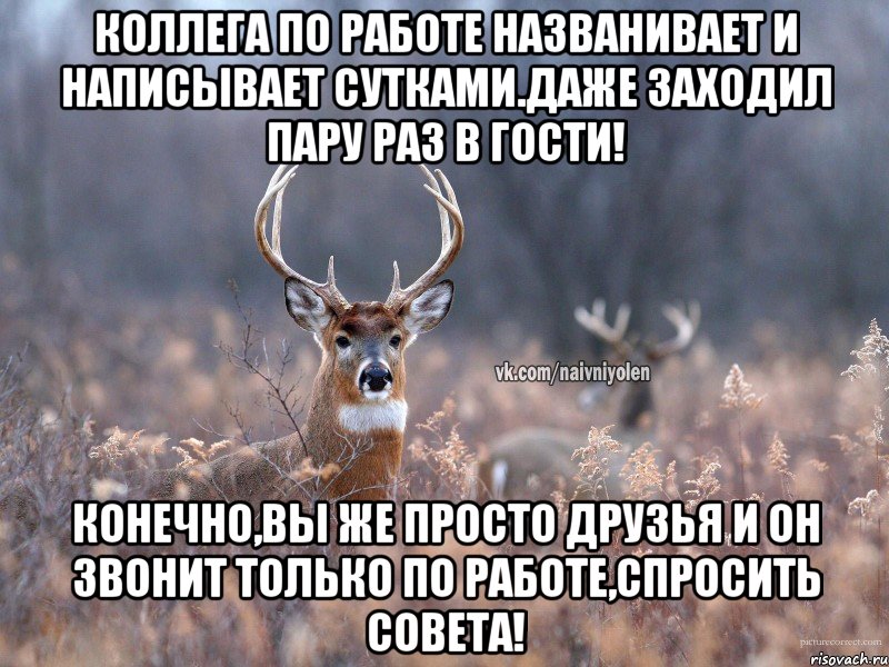 Коллега по работе названивает и написывает сутками.Даже заходил пару раз в гости! Конечно,вы же просто друзья и он звонит только по работе,спросить совета!