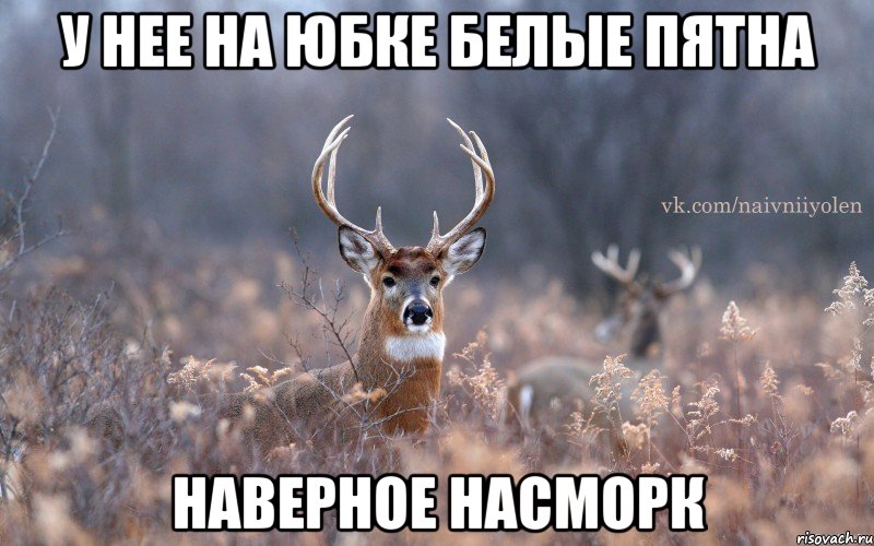 У нее на юбке белые пятна наверное насморк, Мем   Наивный олень