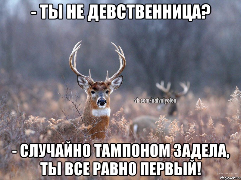 - Ты не девственница? - Случайно тампоном задела, ты все равно первый!